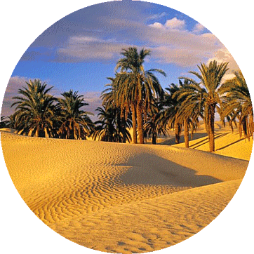 Rudolf Steiner stuff, symbolised by Oasis in Tunisia, detail