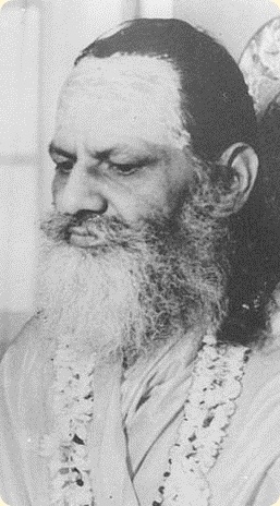 Guru Dev Shankaracharya Brahmananda Sarawati Ji