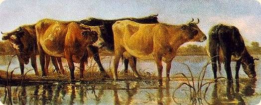 Aelbert Cuyp (1620-91) Cows in the Water. Section