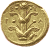 Silphion cyrenaiucum on a Cyrenean gold drachme