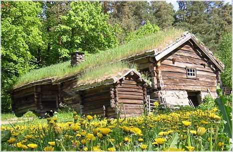 Log building with a sod roof, Norwegian folk museum in Oslo. Detail