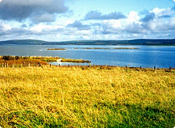 Fr&aring; Orkn&oslash;yane