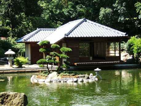 Japanese garden