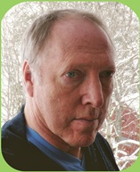 The site owner