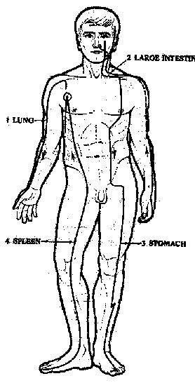 Acupuncture meridians
