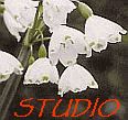 FRONT PAGE