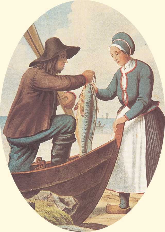 Havstrilar ved Bergen