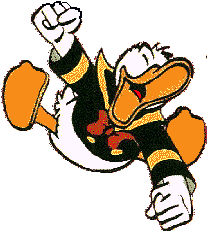 Duck