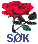 S&Oslash;K SIDENE