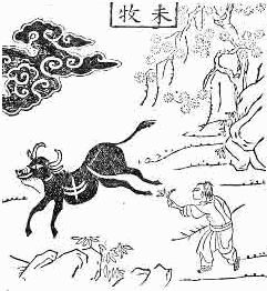 OX-HERDING PICTURE