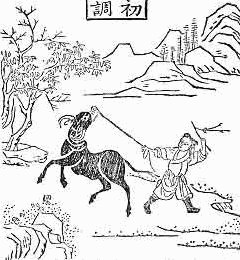 OX-HERDING PICTURE