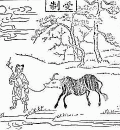 OX-HERDING PICTURE