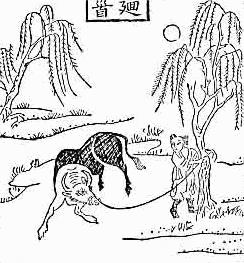 OX-HERDING PICTURE