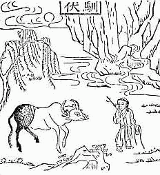 OX-HERDING PICTURE