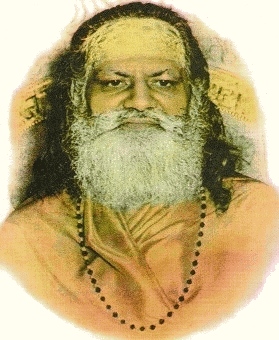 The Guru Dev Shankaracharya Brahmananda Sarawati Ji